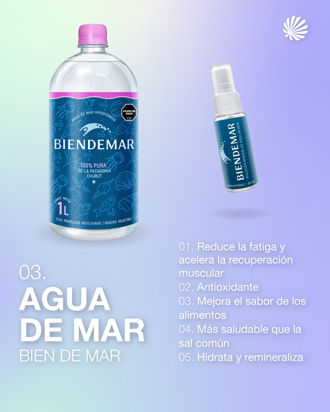 Plant Post 4 - Agua de Mar Biendemar