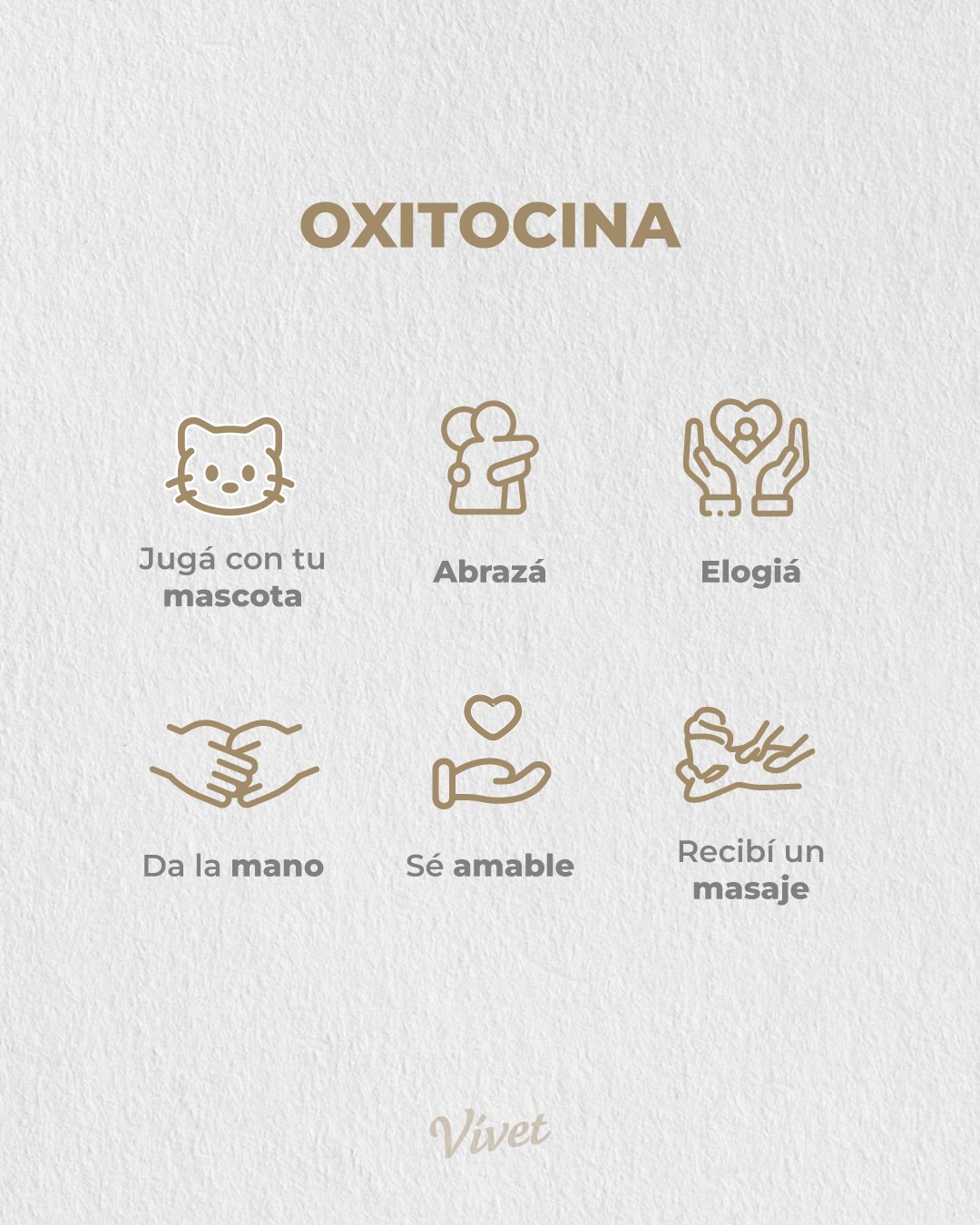 Vívet Post 11 - Hacker felicidad 3