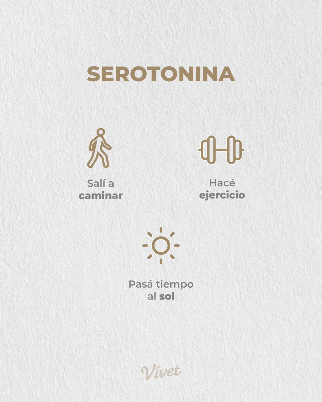 Plant Post 12 - Hacker felicidad 4