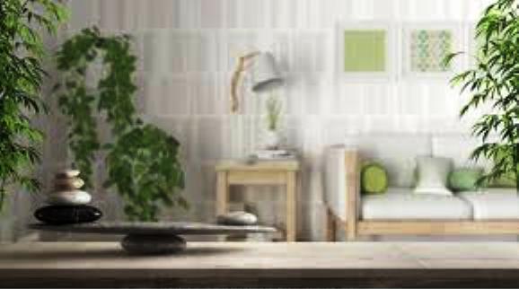 In the two final chapters, I share ... how we can use Feng Shui decor in our Homes. And what meaning water & the Circle of Life have on your home décor.