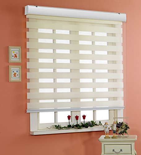 Horizontal-Window-Shade-Blind-Zebra-Dual-Roller