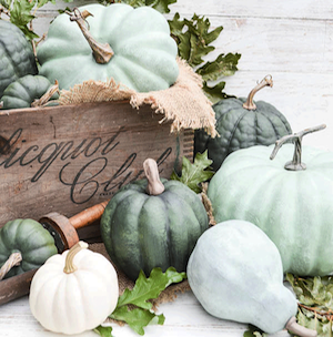 Dry Brushed Chalk Painted Pumpkins from Anderson and Grant