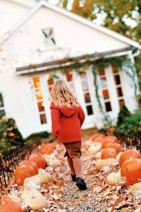 Pumpkin-Trail