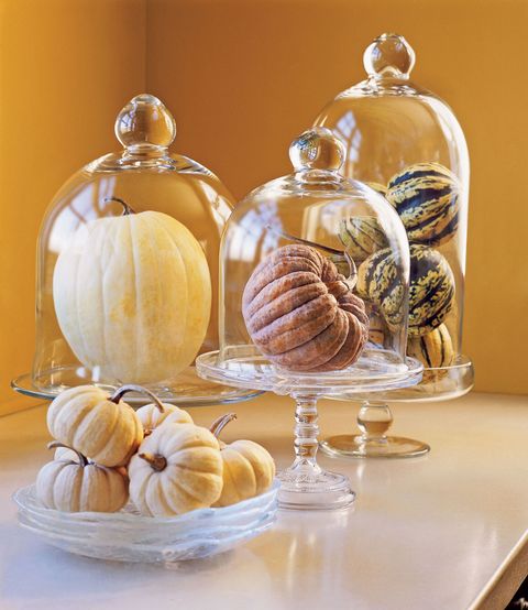 pumpkin display