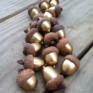 Gold Acorns (source unknown)
Great for vase fillers, in a bowl or as a table decoration