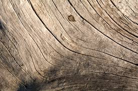 element wood In feng shui