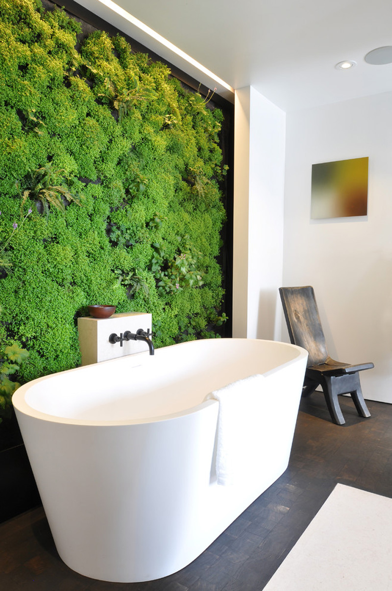 Bathroom Designs Ideas with Life Plants