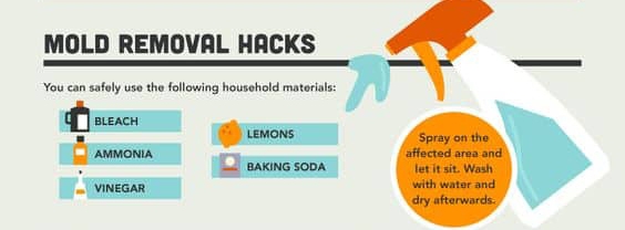 Mold remedies infographic