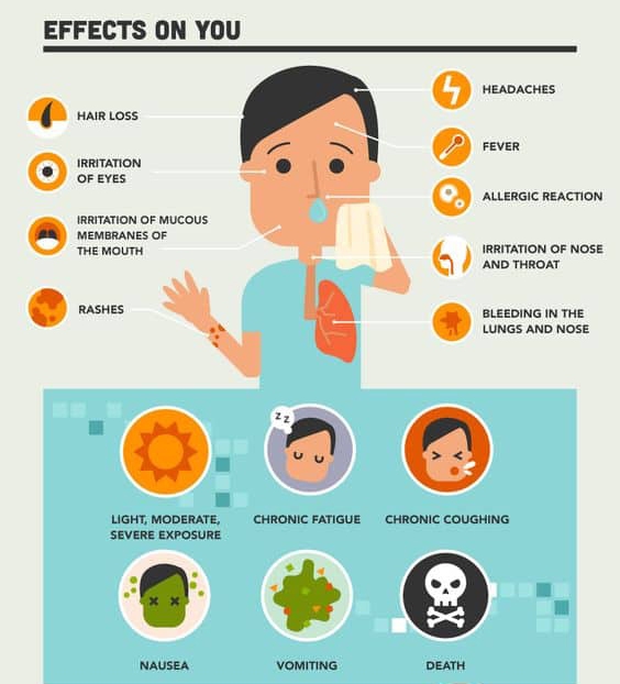 Mold effect on you infograph