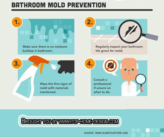 Mold Prevention Infograph