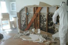 Mold inside of walls