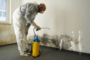 Spraying the mold with removal solution to wash of spores