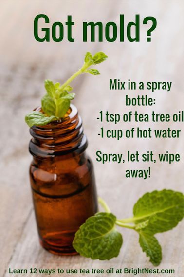 Mold Remedies - tea tree oil
