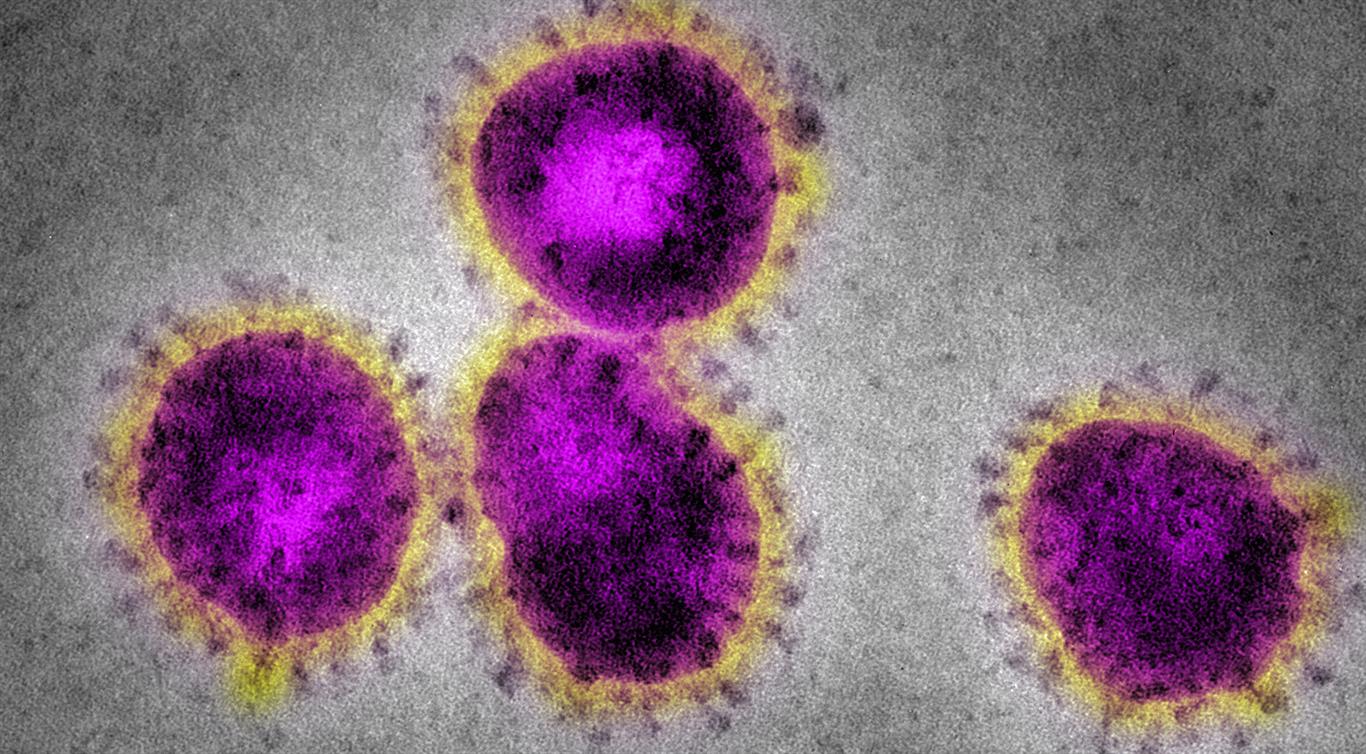 Coronavirus Eye to Eye