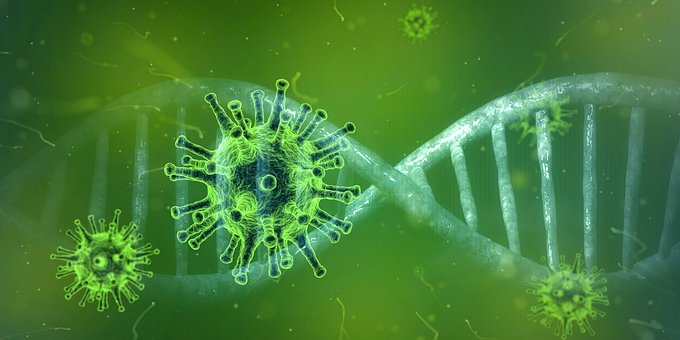 coronavirus 3