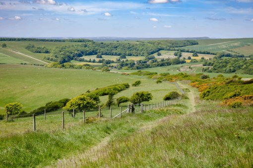 South Downs Way, a long distance footpath and bridleway along the South Downs hills in Sussex