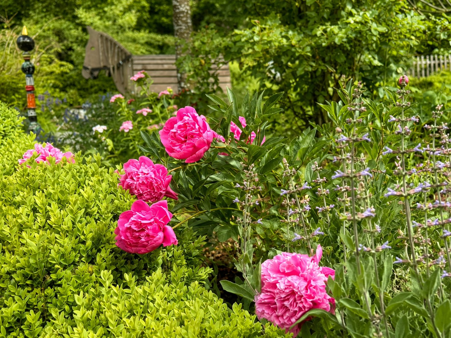 Frühlingsblüten im Garten von Klaushausen in Überlingen
