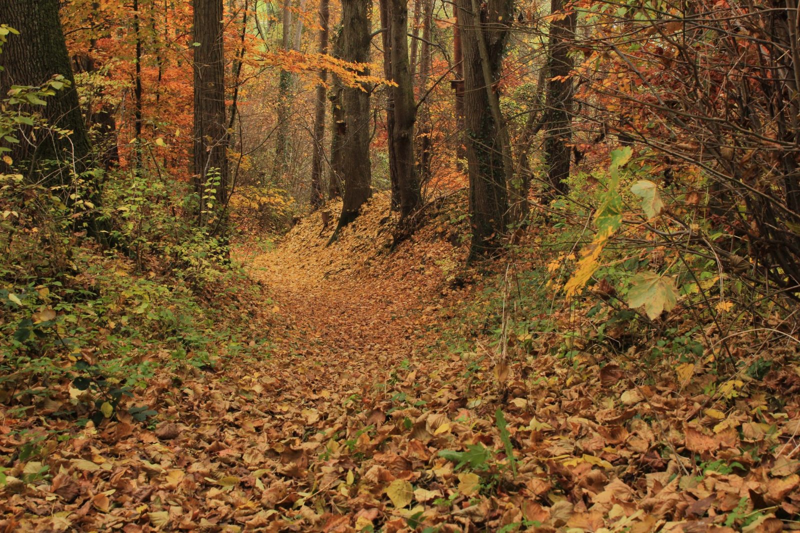 Herbstspaziergang in Überlingen am Bodensee mit Seeblick