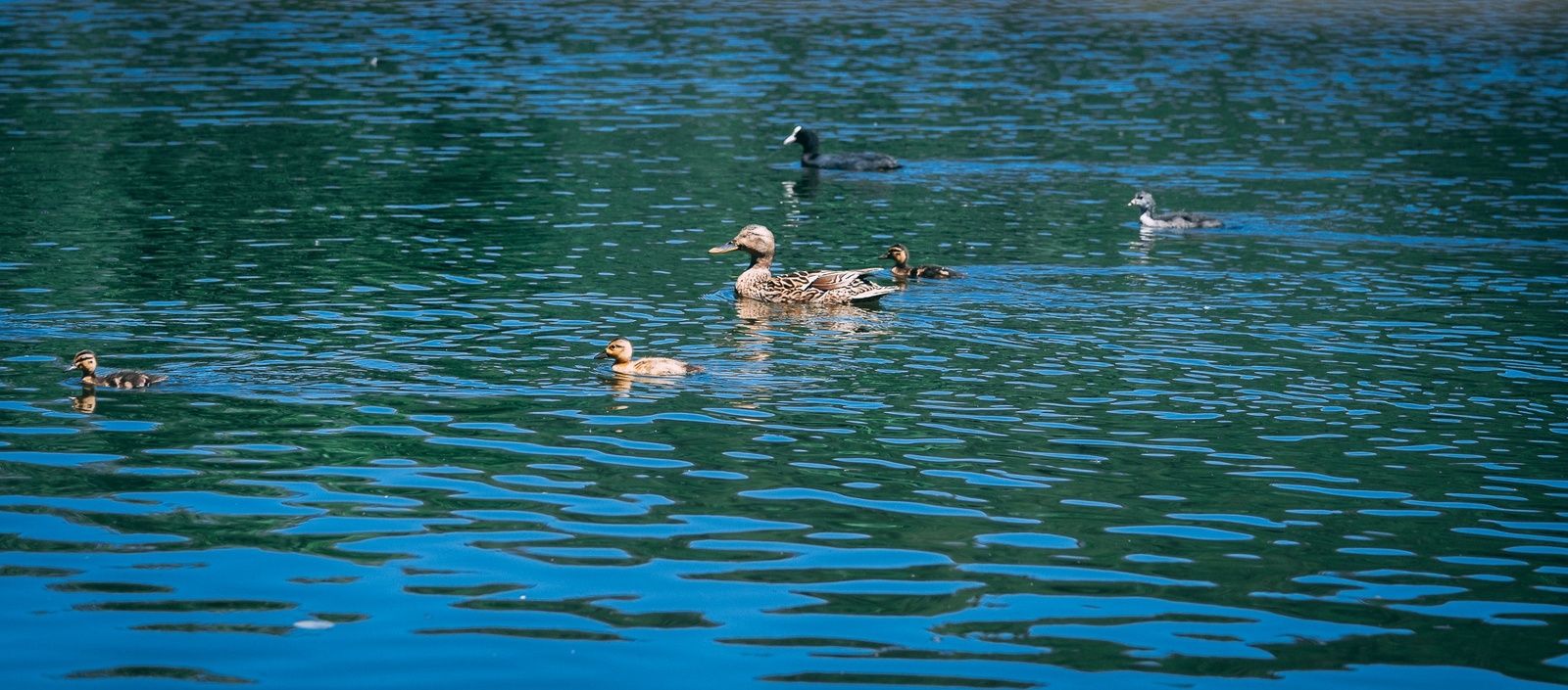 Strandbad West in Überlingen am Bodensee