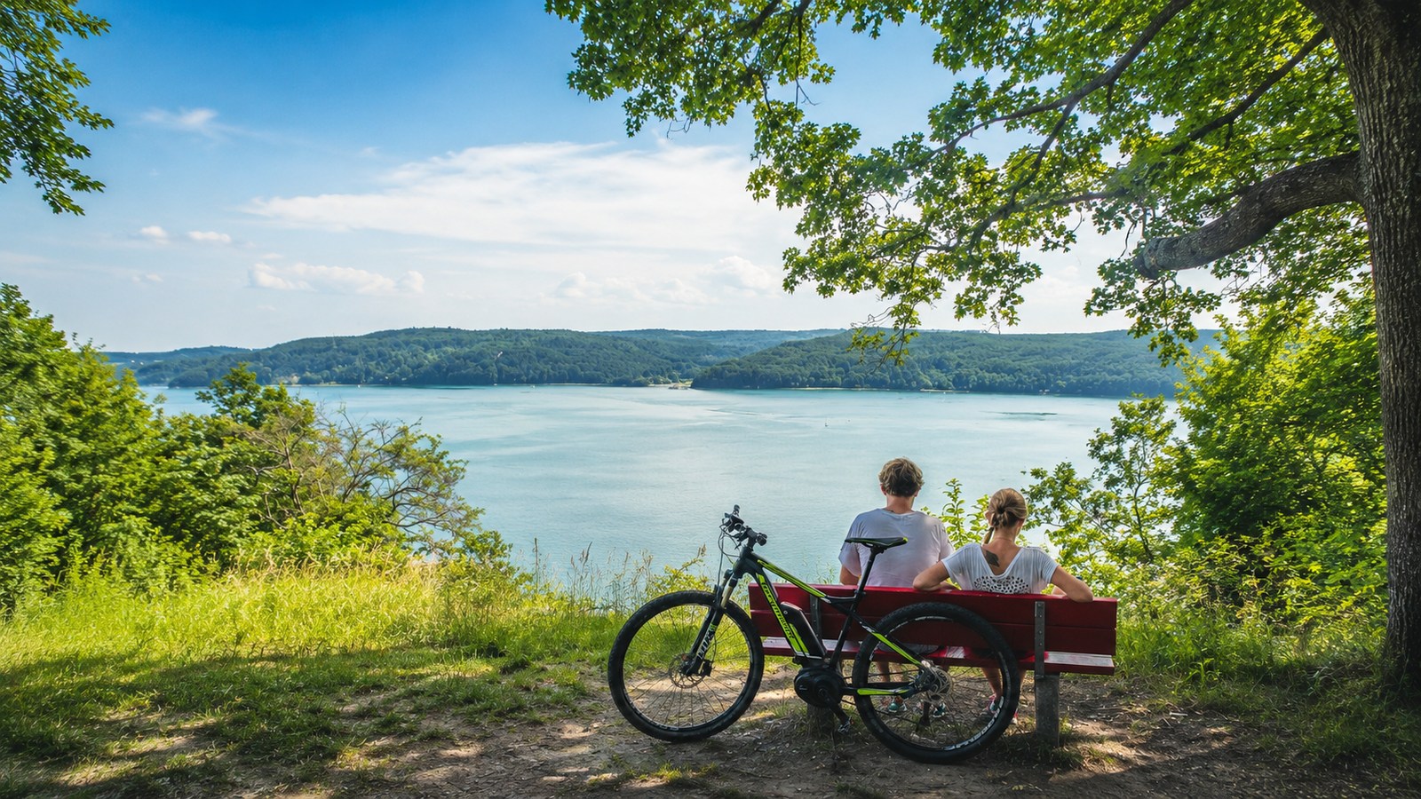 E-Bike-Tour über Hödingen mit Blick auf den Überlinger See