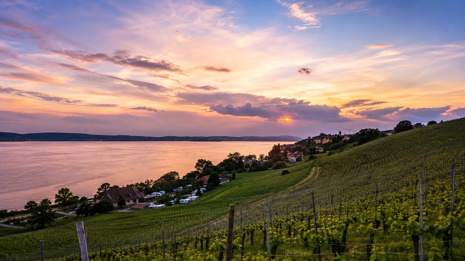 E-Bike-Genusstour mit Wein und Seeblick ab Überlingen