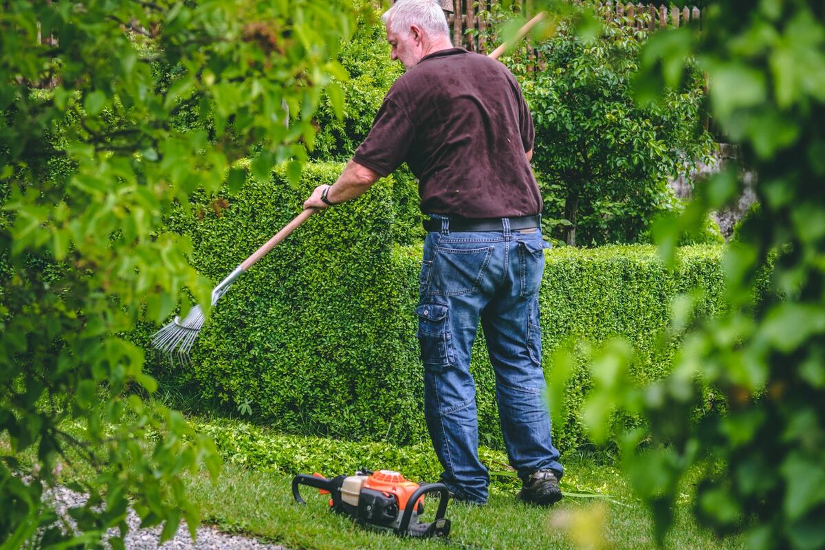 Klaus bei der Heckenpflege