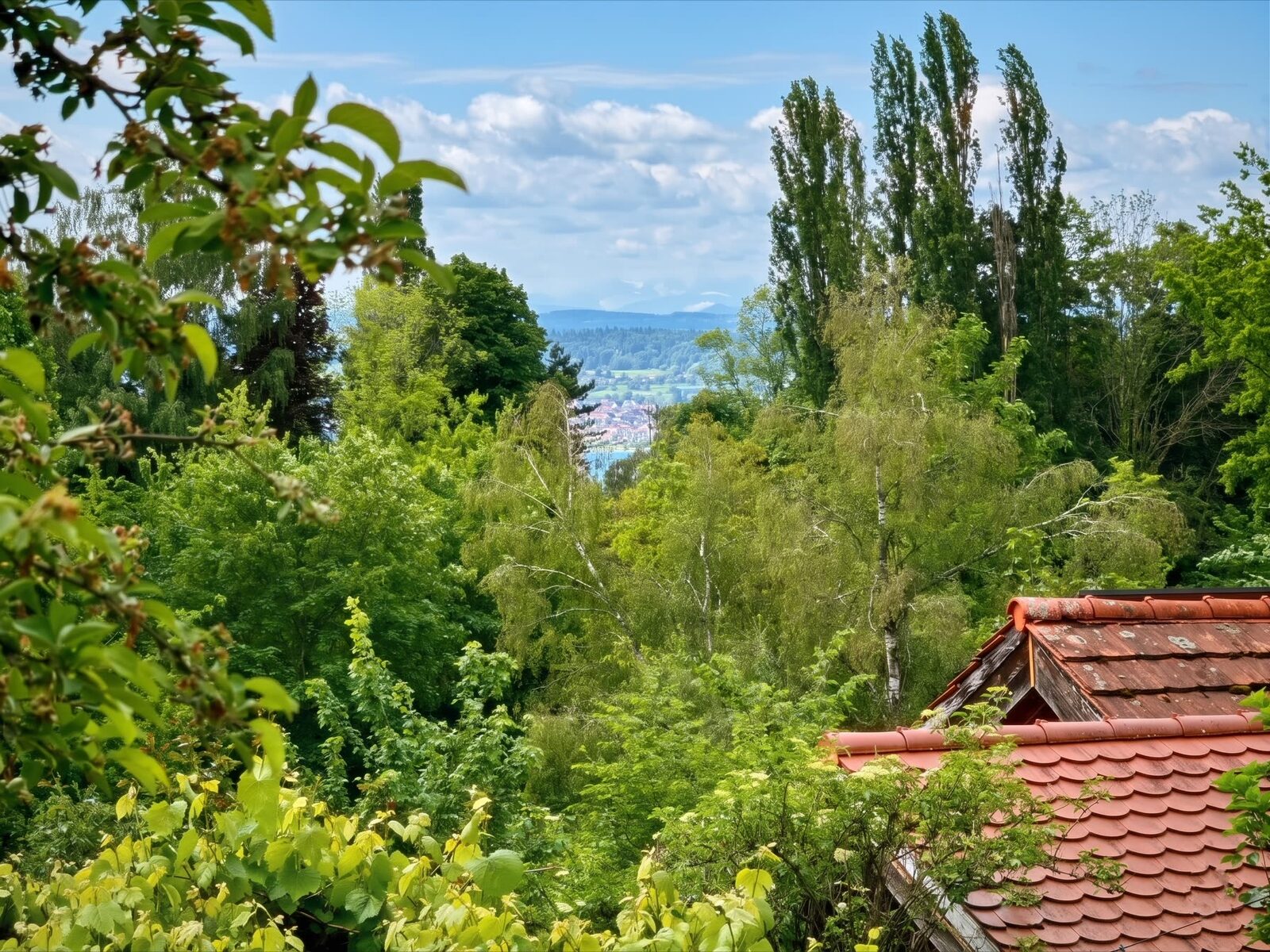 Blick über den Garten Richtung Bodensee