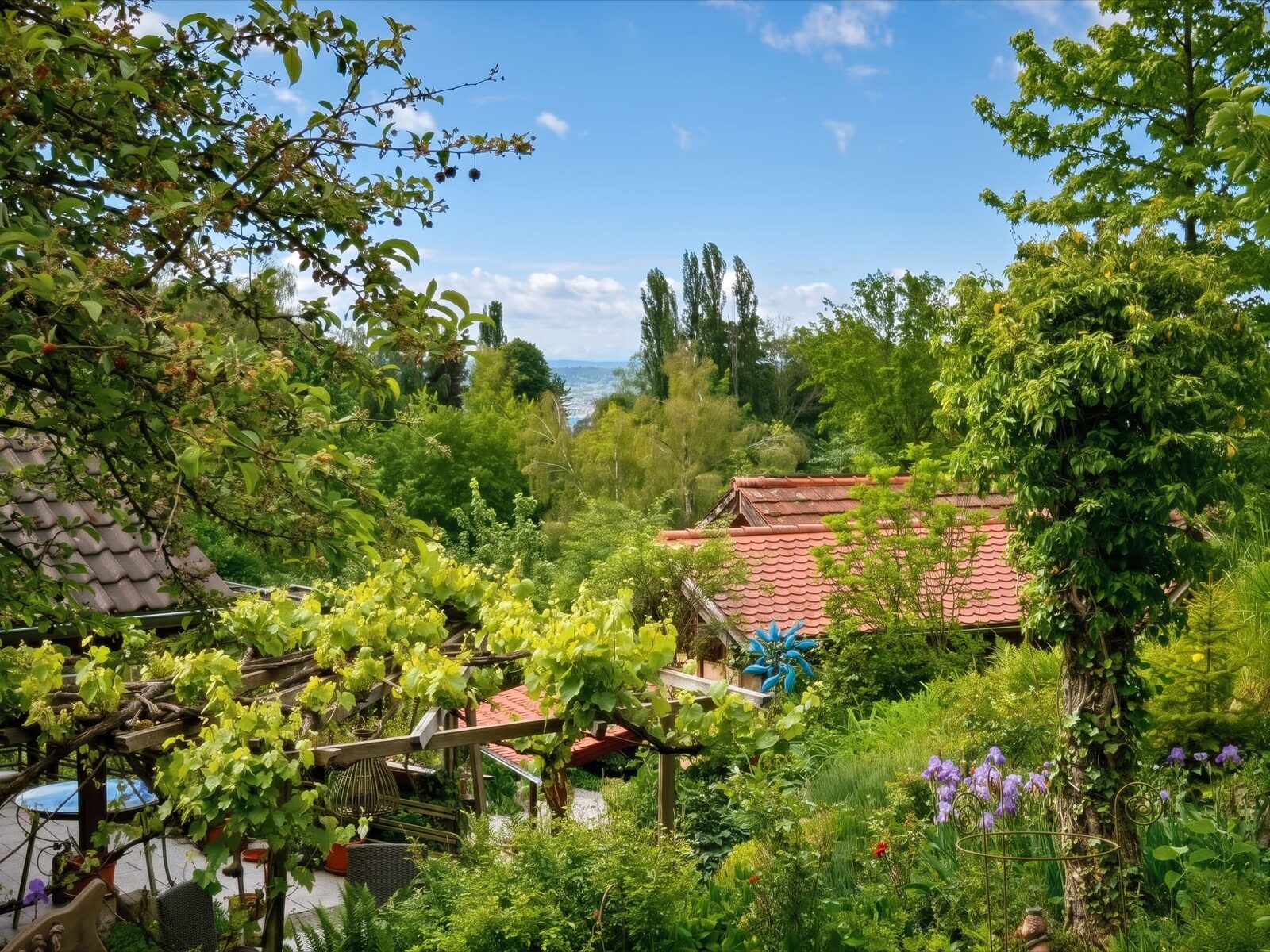 Garten mit Pergola und Blick Richtung Bodensee