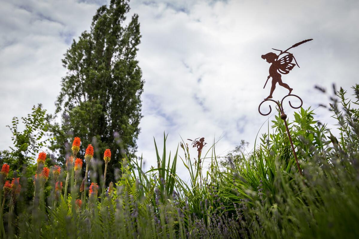 Fackellilien und Deko