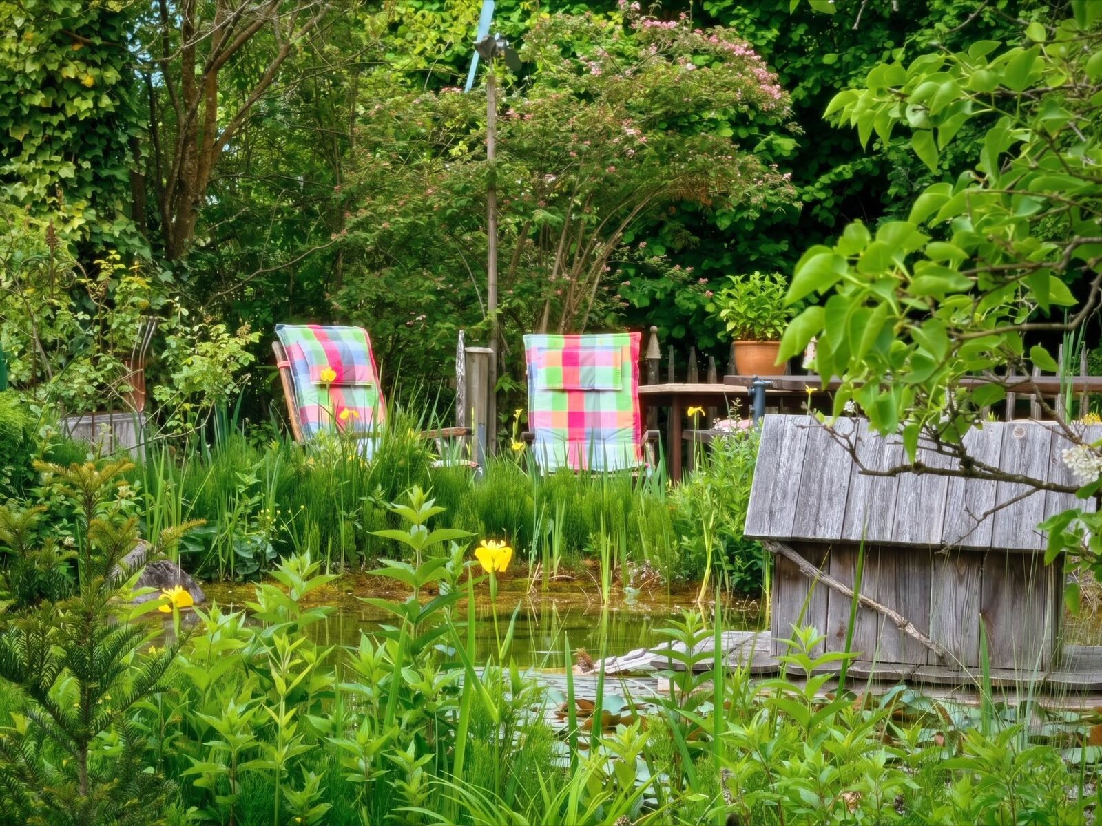 Seerosenteich mit Liegestühlen in der Gartenidylle