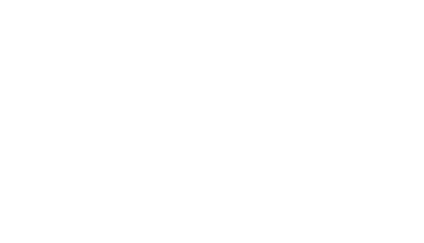 Firehawk Grills