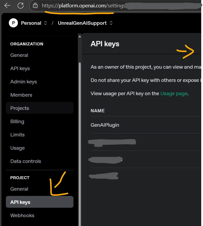 Settings panel for API keys