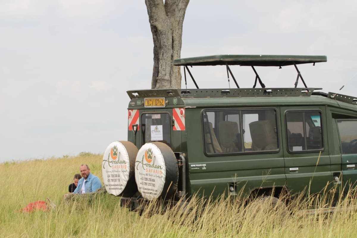 Safari di 4 giorni tra grandi felini, rinoceronti e l'infinita magia della savana