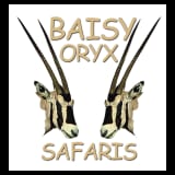 Baisy Oryx Safaris Ltd