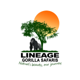 Lineage Gorilla Safaris
