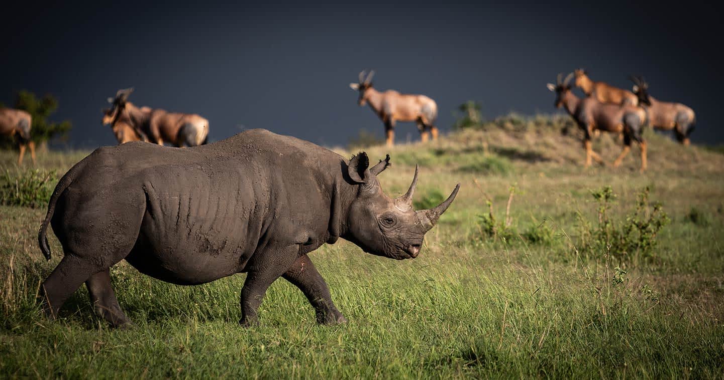 Maasai Heartland: Serengeti & Ngorongoro Adventure