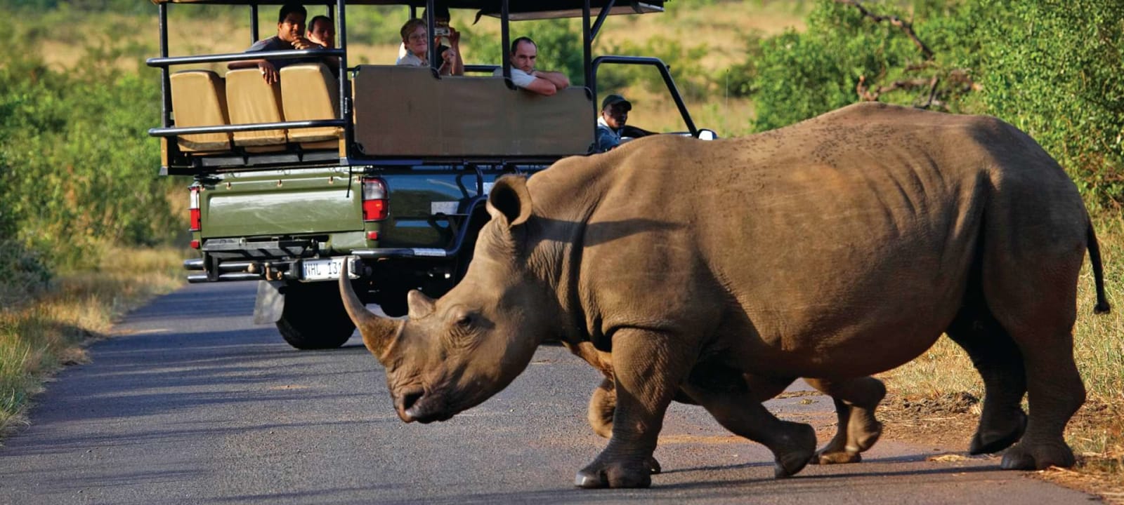 7-Day Sabi Sands, Timbavati & Kruger Big Five Safari