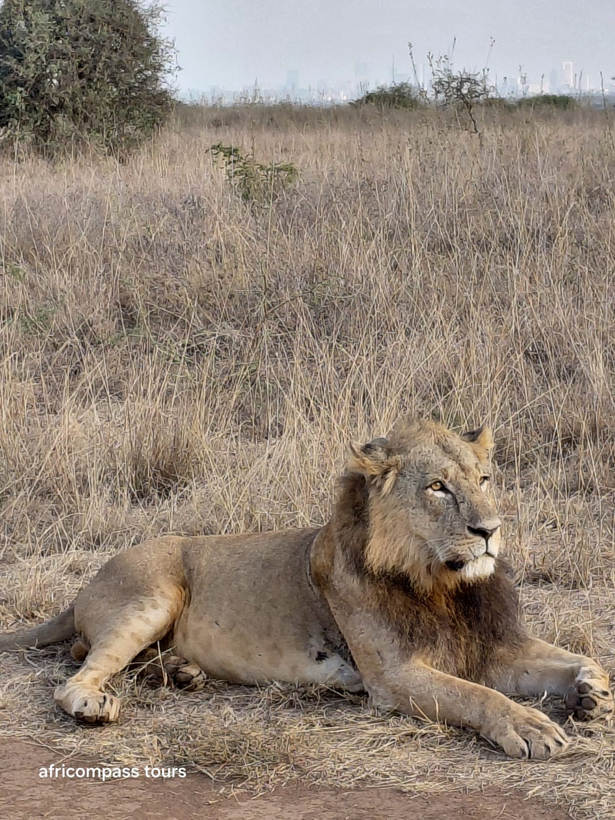8-Day Ultimate African Honeymoon Safari