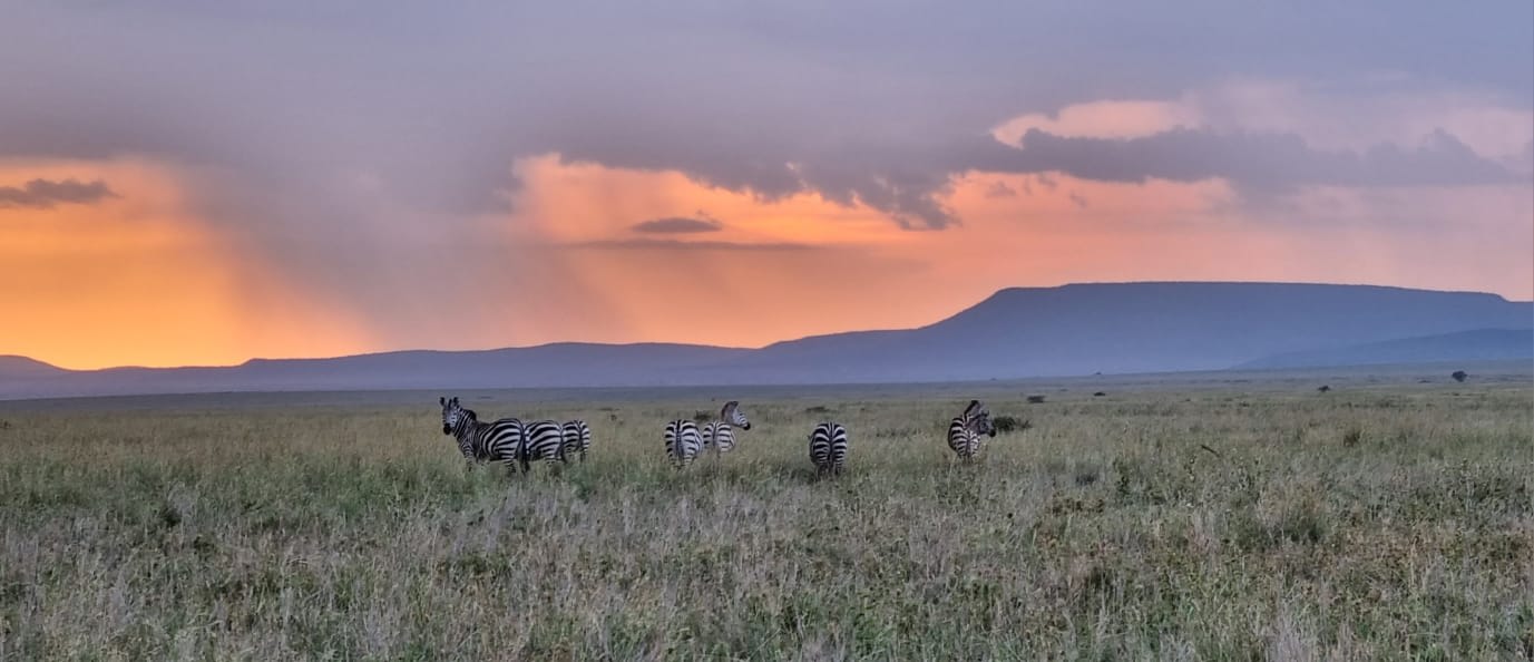7-Day Tarangire/Ngorongoro/Serengeti/Manyara Road Safari