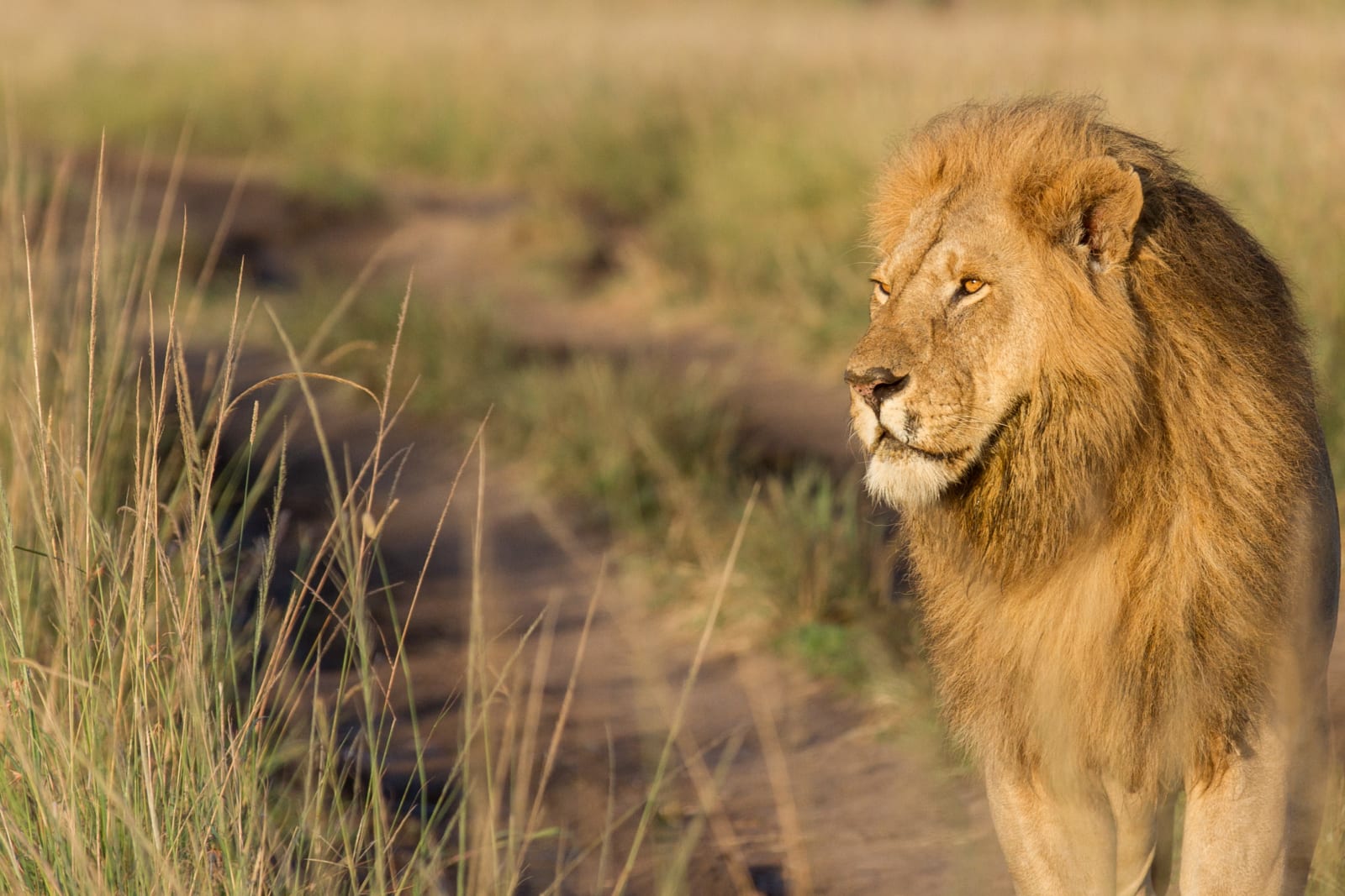6-Day Best Kenya Budget Safari – Iconic National Parks & Reserves
