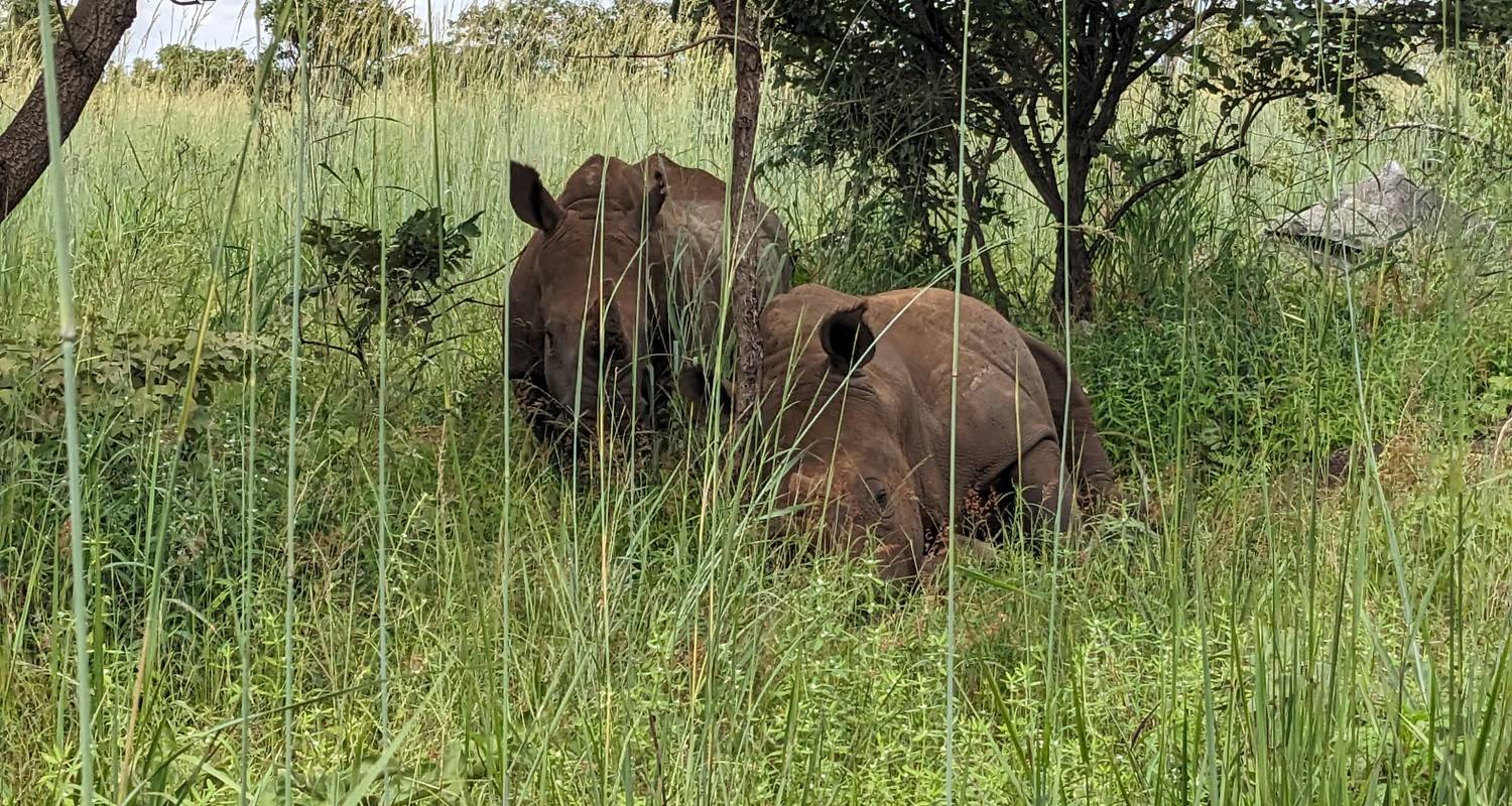 Lusaka National Park 1天野生动物探险体验