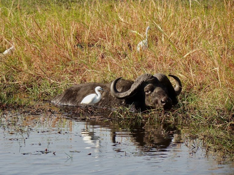 3天Kaziikini Community Area Safari之旅