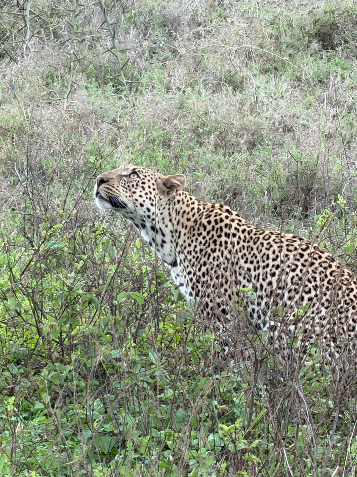 2-Day Arusha NP & Materuni Waterfalls Safari