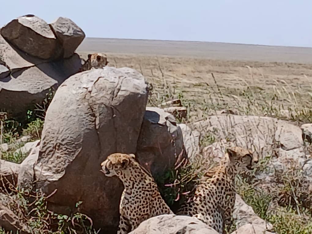 2-Day Adventure to Tarangire & Lake Eyasi Safari
