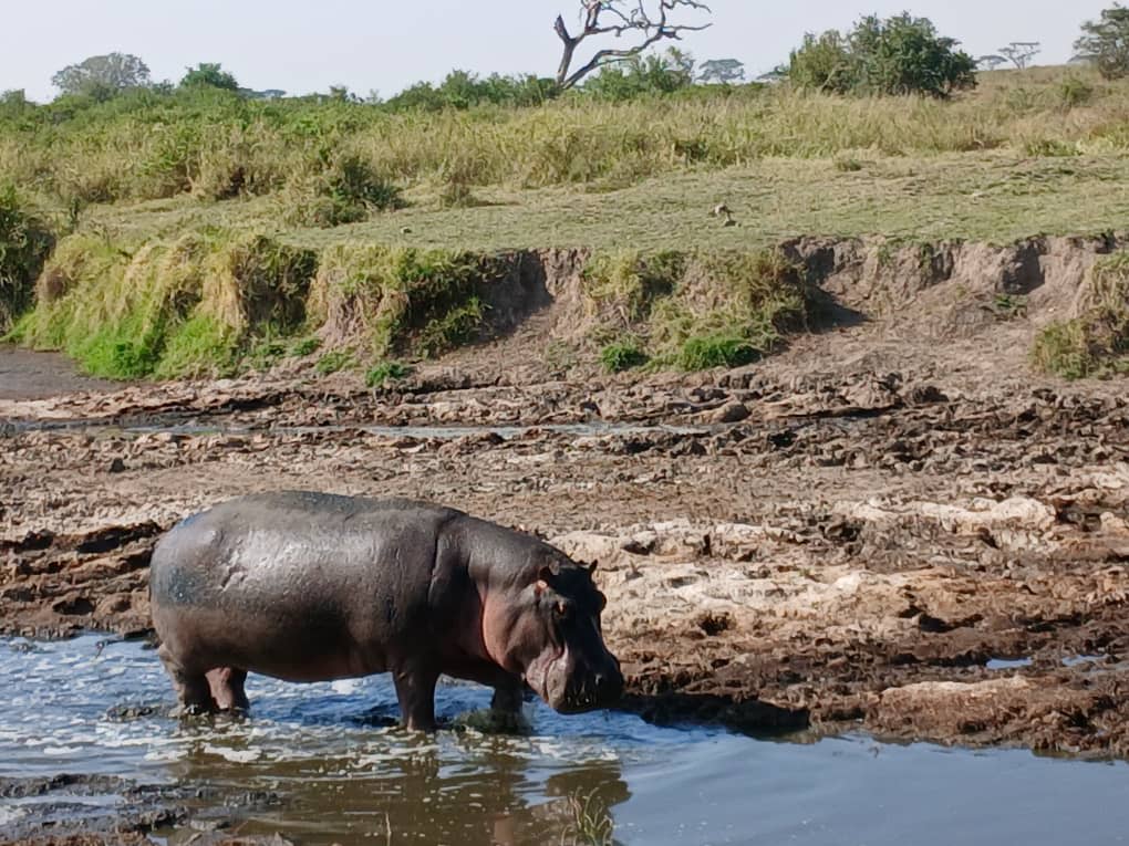 3-Day Wildlife and Cultural Adventure Safari