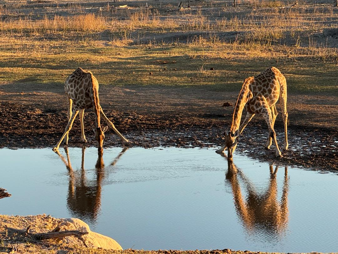 6-Day Northern Botswana 6 Days Exploration