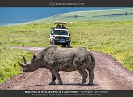 4-Day Budget Tarangire, Serengeti & Ngorongoro Tour
