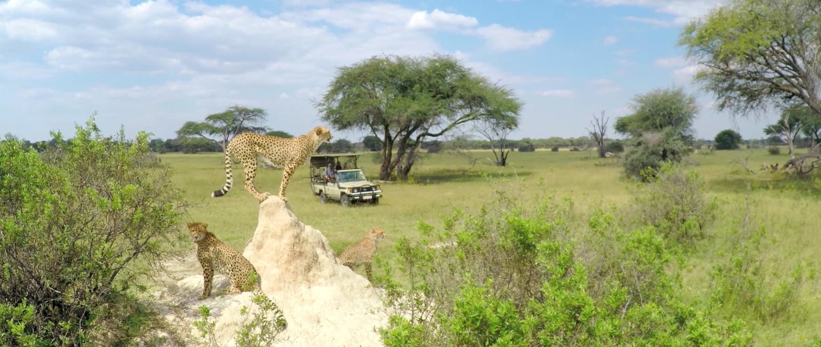 8-Day Victoria Falls, Chobe NP & Savuti Mobile Camping Safari