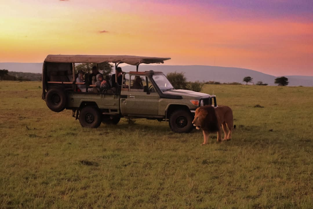 Perfect 9-Day Kenya Bush and Beach Itinerary for First-Time Safari Travelers Under $4000