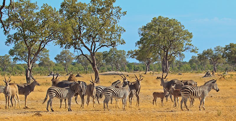 15-Day Journey into the Heart Lands of Zimbabwe and Botswana